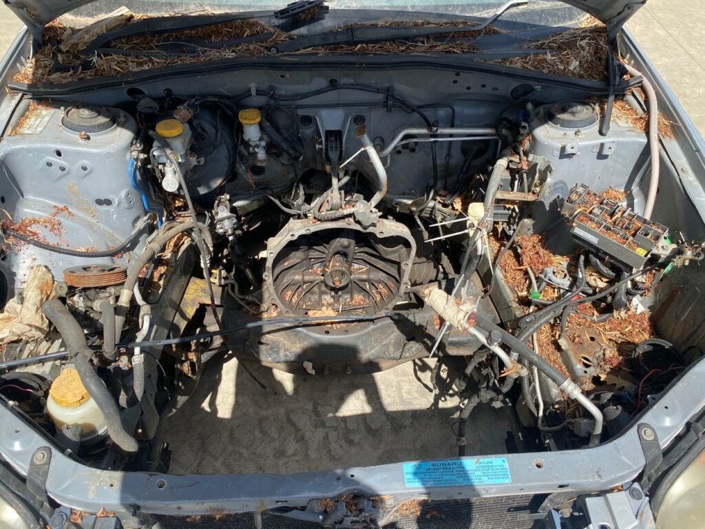 Car Wreckers - Subaru Impreza 2003 Silver Auto Petrol