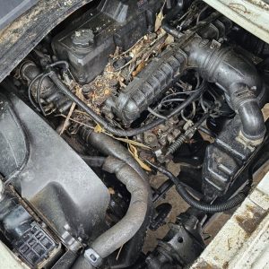 Car Wreckers - Kia K2700 2006 White Manual Diesel