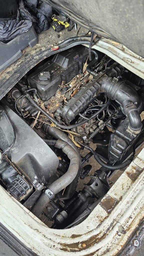 Car Wreckers - Kia K2700 2006 White Manual Diesel