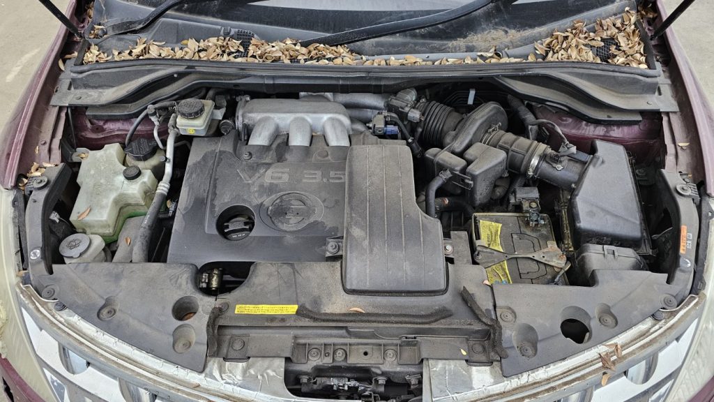 Car Wreckers - Nissan Murano 2007 Maroon Auto Petrol