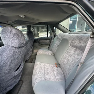 Holden Commodore 1996 Green Auto Petrol