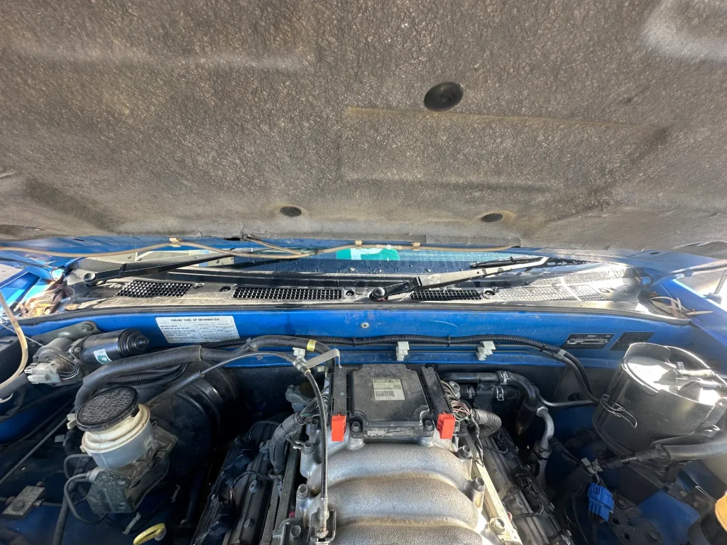 Holden Rodeo 1998 Blue Auto Petrol