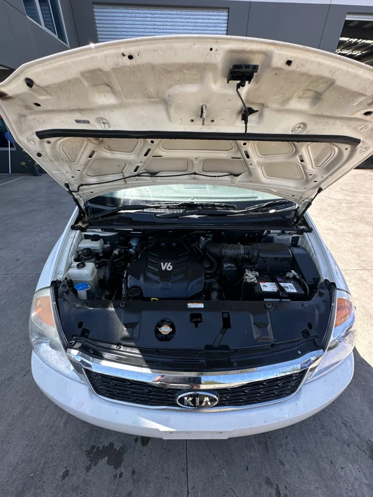 Kia Carnival 2010 White Auto Petrol