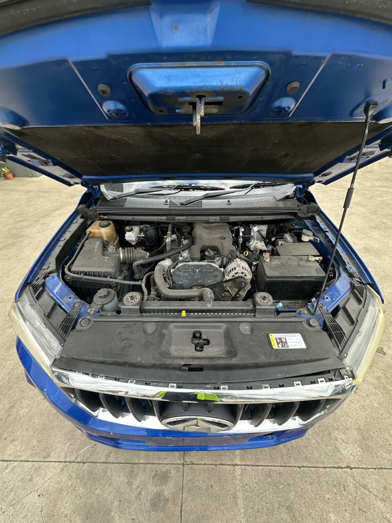 LDV T60 2018 Blue Auto Diesel
