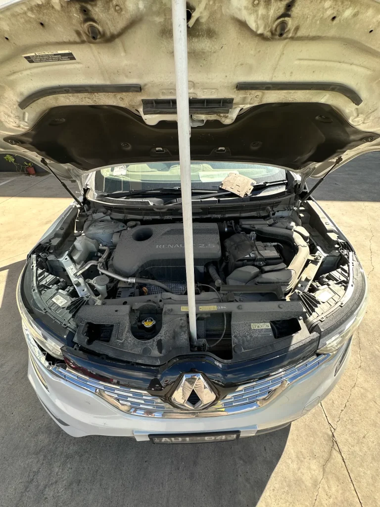 Renault Koleos 2019 White Auto Petrol