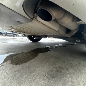 Kia Carnival 2018 Silver Auto Diesel