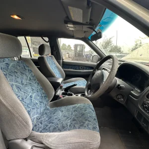Nissan Pathfinder 1999 Gold Auto Petrol