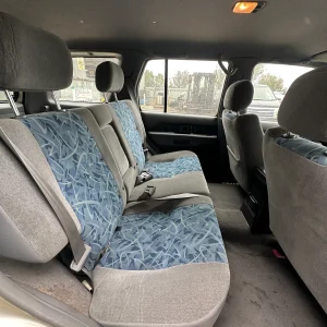 Nissan Pathfinder 1999 Gold Auto Petrol