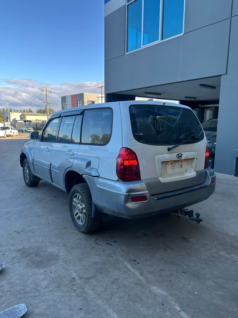 Hyundai Terracan 2005 White Man Petrol