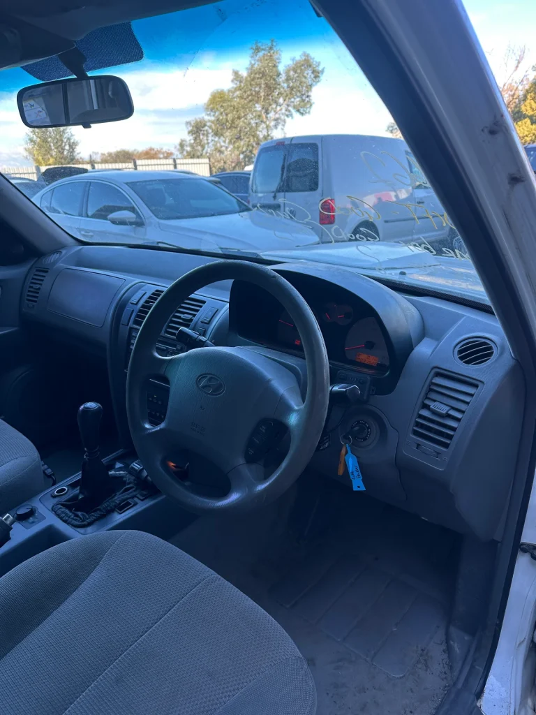 Hyundai Terracan 2005 White Man Petrol
