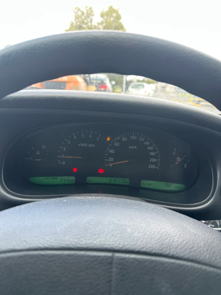 Holden Berlina 2001 Brown Auto Petrol