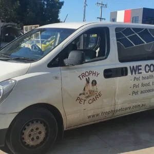 Car Wrecking - HYUNDAI ILOAD 2010