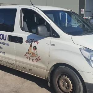 Car Wrecking - HYUNDAI ILOAD 2010