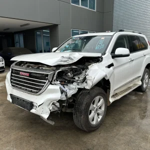 Haval H9 2017 White Auto Petrol
