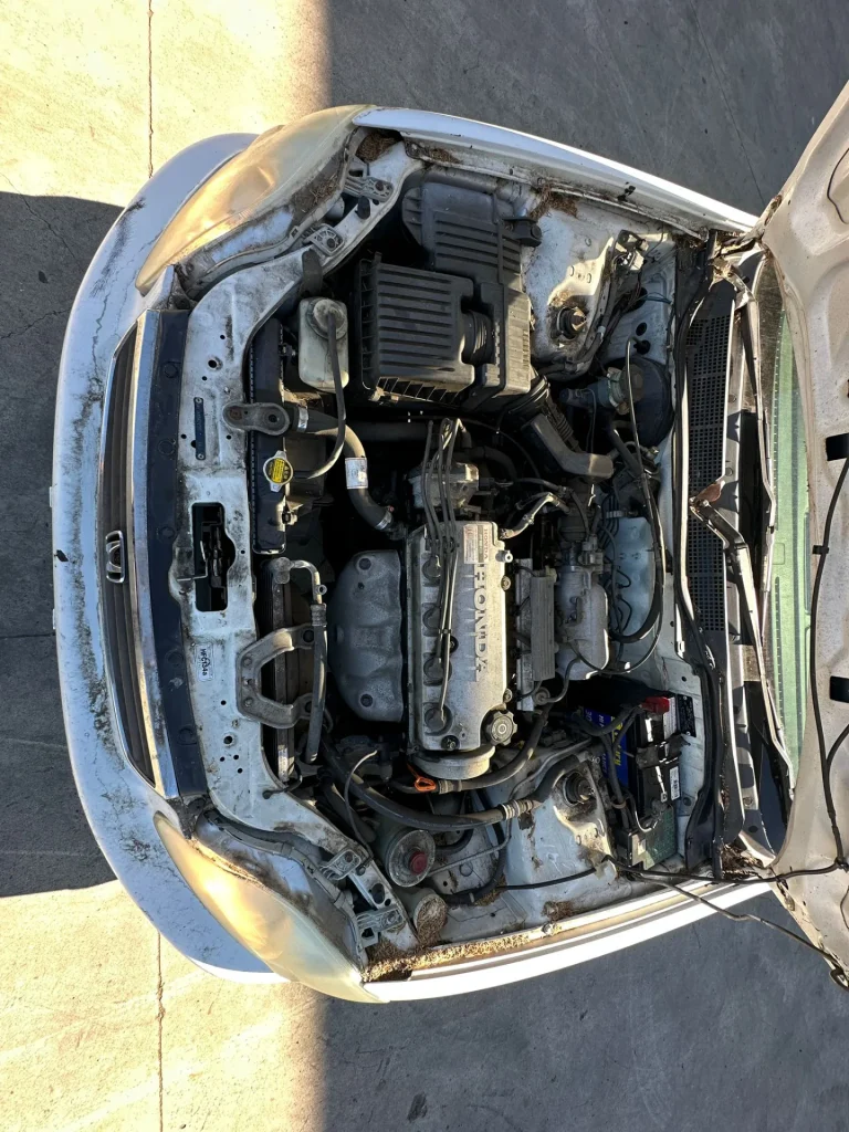 Honda Civic 1999 White Auto Petrol