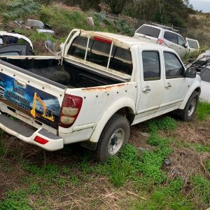 GREAT WALL V240 06/2009-03/2011 TRUCK LEFT FRONT DOOR TRIM K2