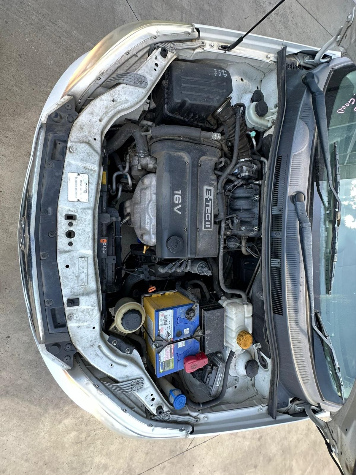 HOLDEN BARINA TK 07/2008-12/2012 RIGHT REAR DOOR WINDOW HATCHBACK - Image 10