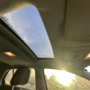 HOLDEN TRAX TJ SERIES 08/2013-12/2020 CENTRE COURTESY LIGHT