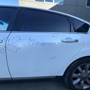 NISSAN MAXIMA J31 02/2002-05/2009 LEFT REAR DOOR SHELL