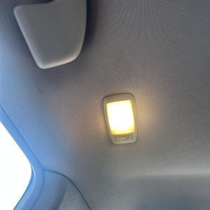 NISSAN MURANO Z51 12/2008-01/2015 LEFT REAR COURTESY LIGHT