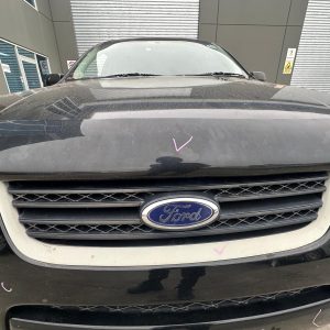 FORD TERRITORY SX-SY MKI 05/2004-04/2009 RADIATOR GRILLE TX/SR