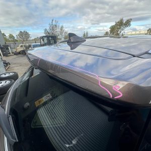 HAVAL H6 07/2016-01/2021 ANTENNA