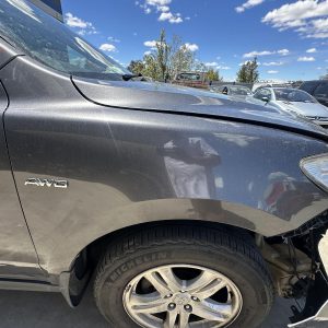 HYUNDAI SANTA FE CM 11/2008-06/2012 RIGHT GUARD NON FLASHER TYPE