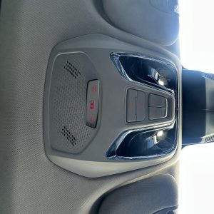 LDV D90 SV9A 11/2017-2025 FRONT COURTESY LIGHT
