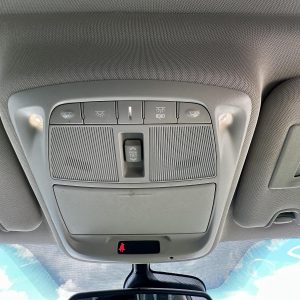 RENAULT KALEOS XZG 05/2016-2025 FRONT CENTRE COURTESY LIGHT