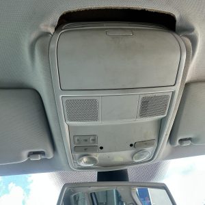 VOLKSWAGEN PASSAT 3C/MK6 03/2006-06/2012 COURTESY LIGHT