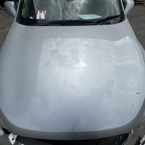 HOLDEN CAPTIVA CG 10/2015-06/2018 BONNET