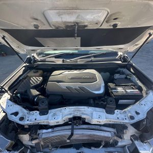 LDV D90 SV9A 02/2020-04/2024 ENGINE 2.0L DIESEL BI-TURBO