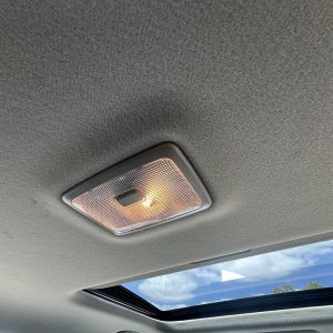 HOLDEN CAPTIVA CG 01/2011-06/2018 CENTRE COURTESY LIGHT