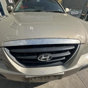 HYUNDAI ELANTRA XD 10/2003-07/2006 RADIATOR GRILLE