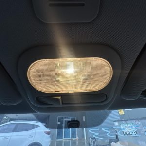 MG MG3 SZP1 07/2016-2024 FRONT COURTESY LIGHT