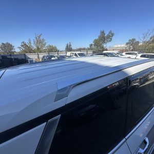 LDV D90 SV9A 11/2017-2025 LEFT SIDE ROOF RAIL