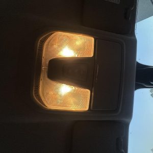 LDV T60 SK8C 07/2017-2025 FRONT COURTESY LIGHT