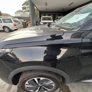 CHERY TIGGO 4 PRO 1ST GEN 06/2024-2026 LEFT GUARD