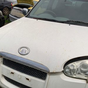 GREAT WALL V240 07/2009-03/2011 BONNET, K2, CHROME MOULD TYPE