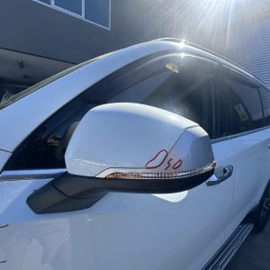LDV D90 SV9A 11/2017-04/2024 LEFT DOOR MIRROR WITH POWER FOLD PUDDLE LAMP
