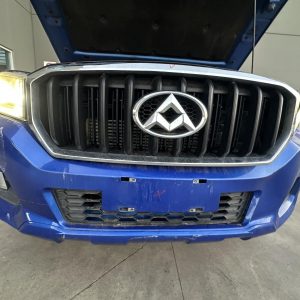 LDV T60 SK8C 07/2017-07/2021 RADIATOR GRILLE CHROME