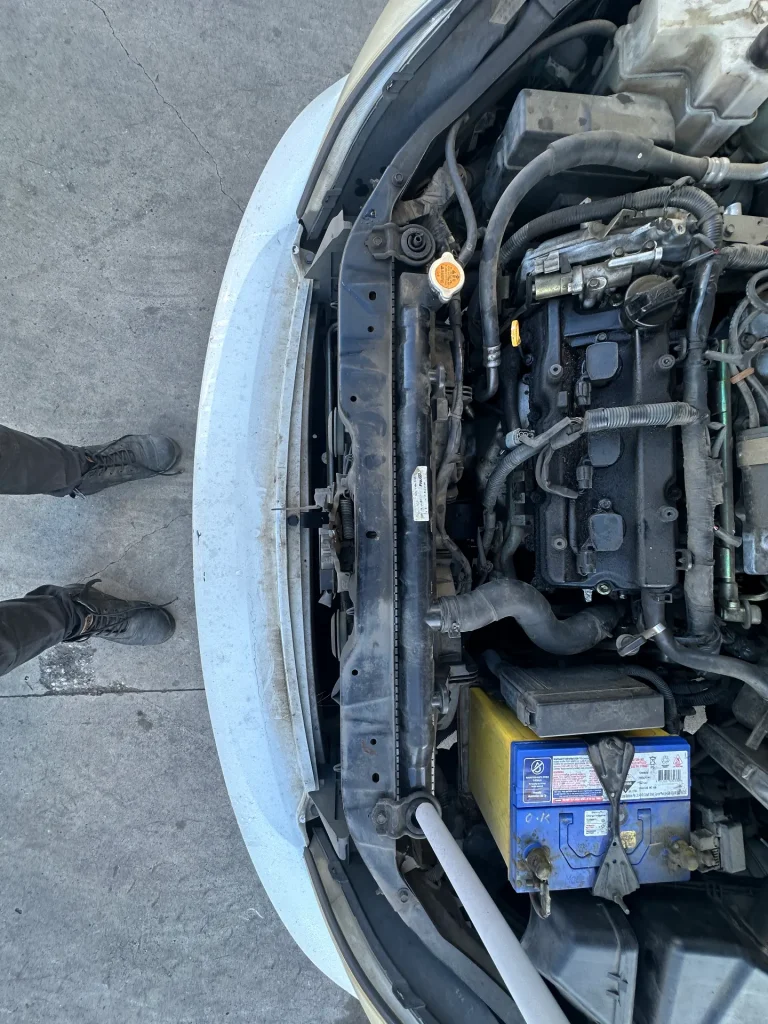 Nissan Maxima 2005 White Auto Petrol