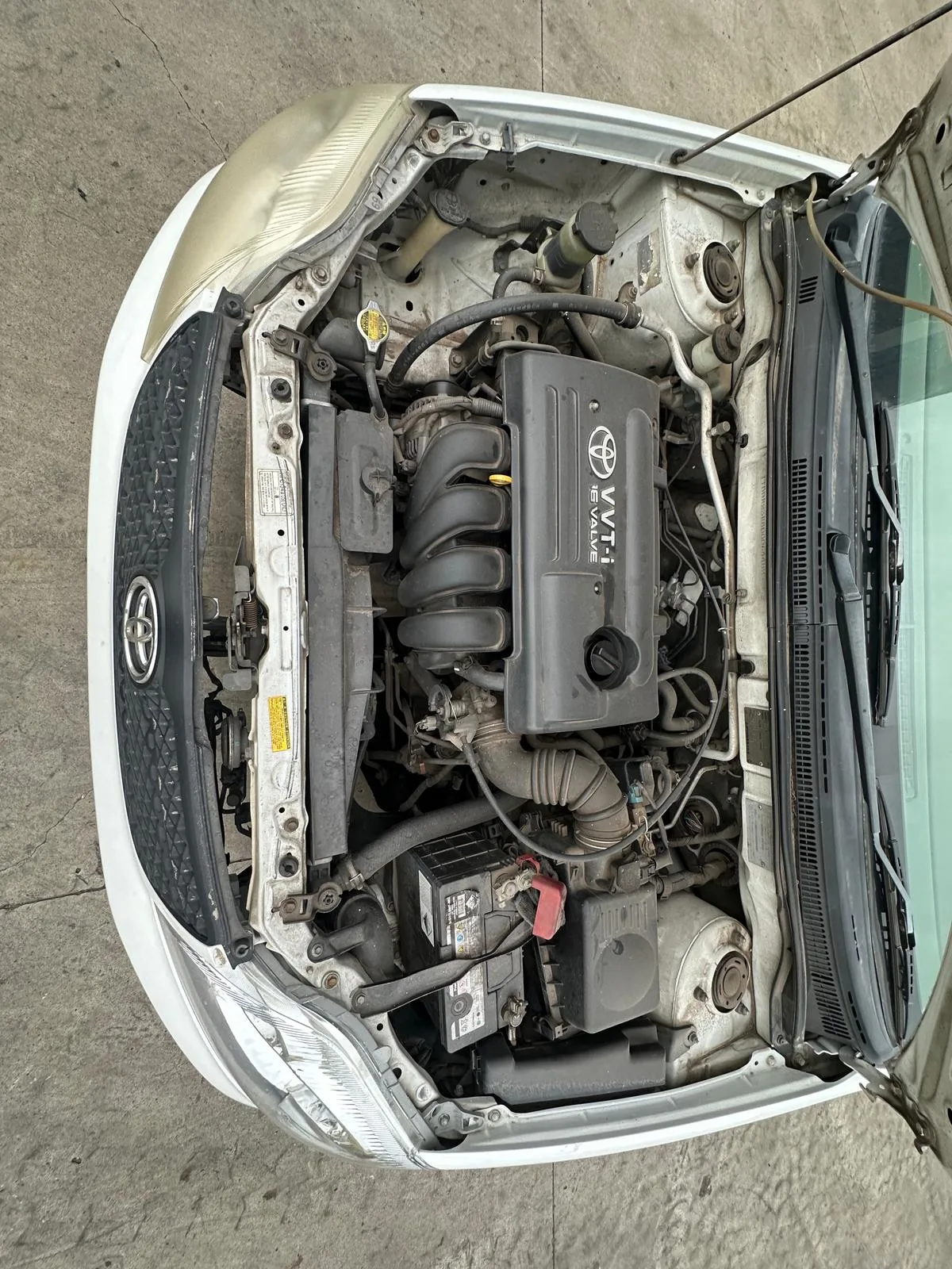 Toyota Corolla 2002 White Auto Petrol